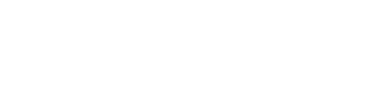 vACC Logo